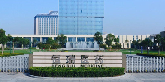 江蘇恒瑞醫(yī)藥股份有限公司